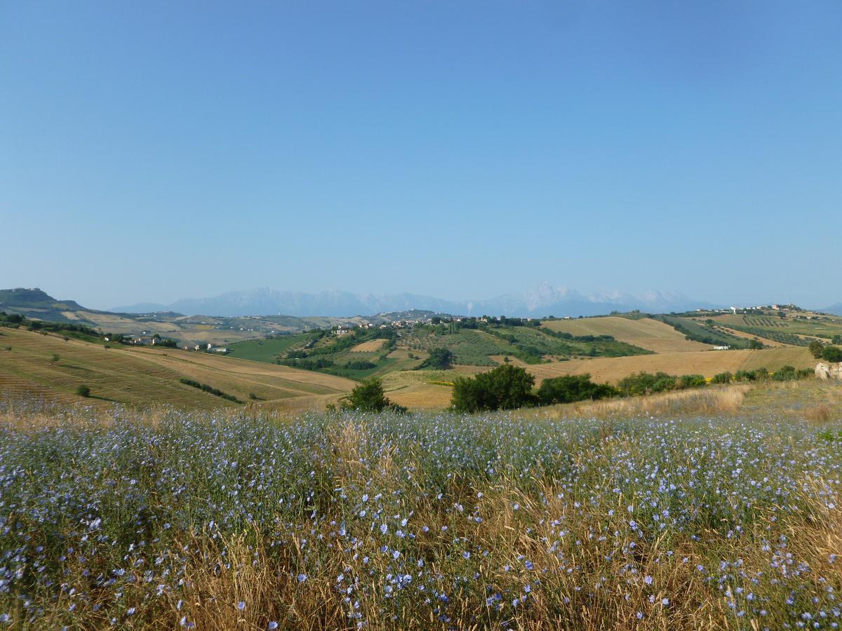 Il Frutteto Bed&Breakfast Ripattone Eksteriør bilde