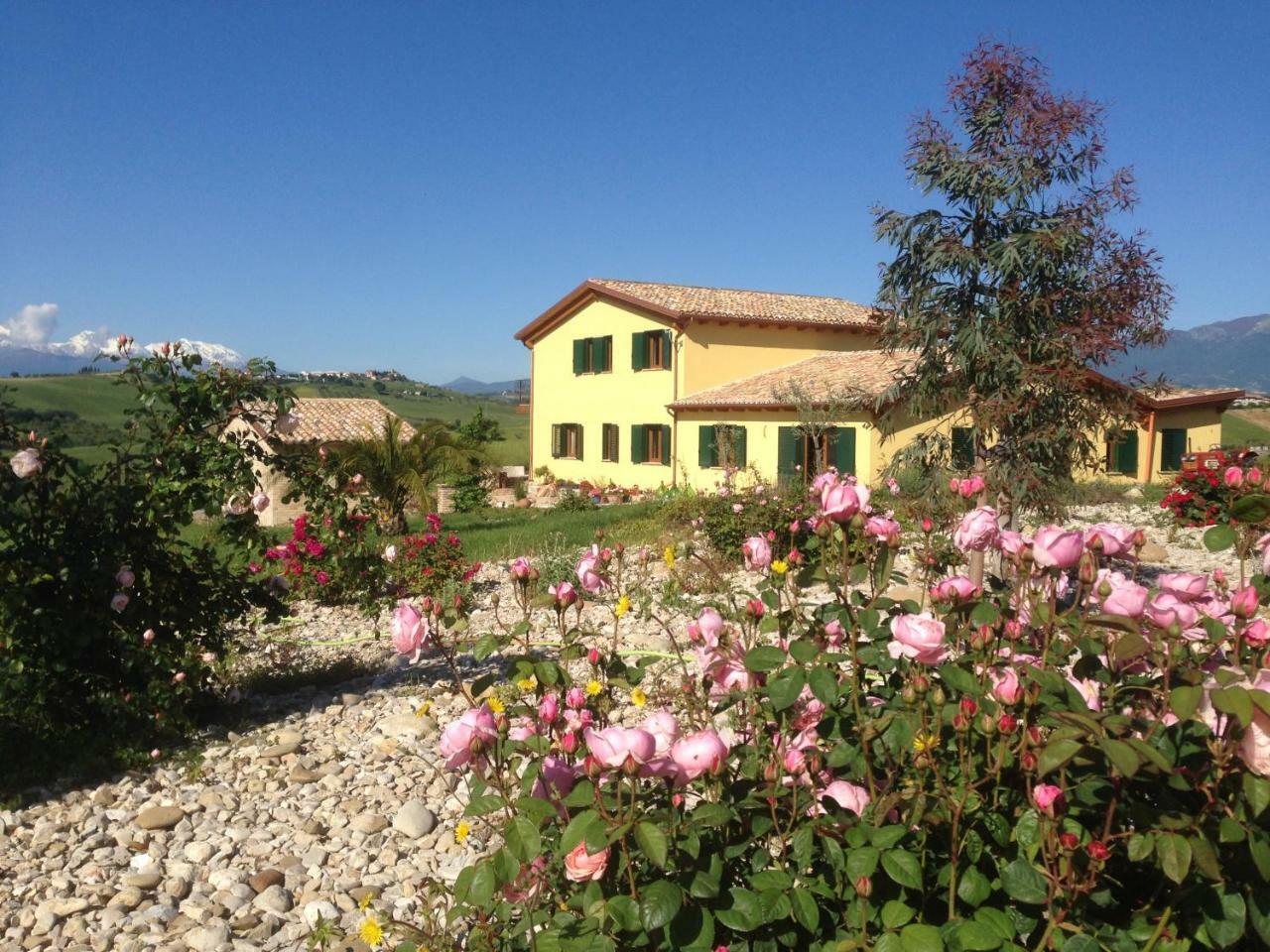 Il Frutteto Bed&Breakfast Ripattone Eksteriør bilde