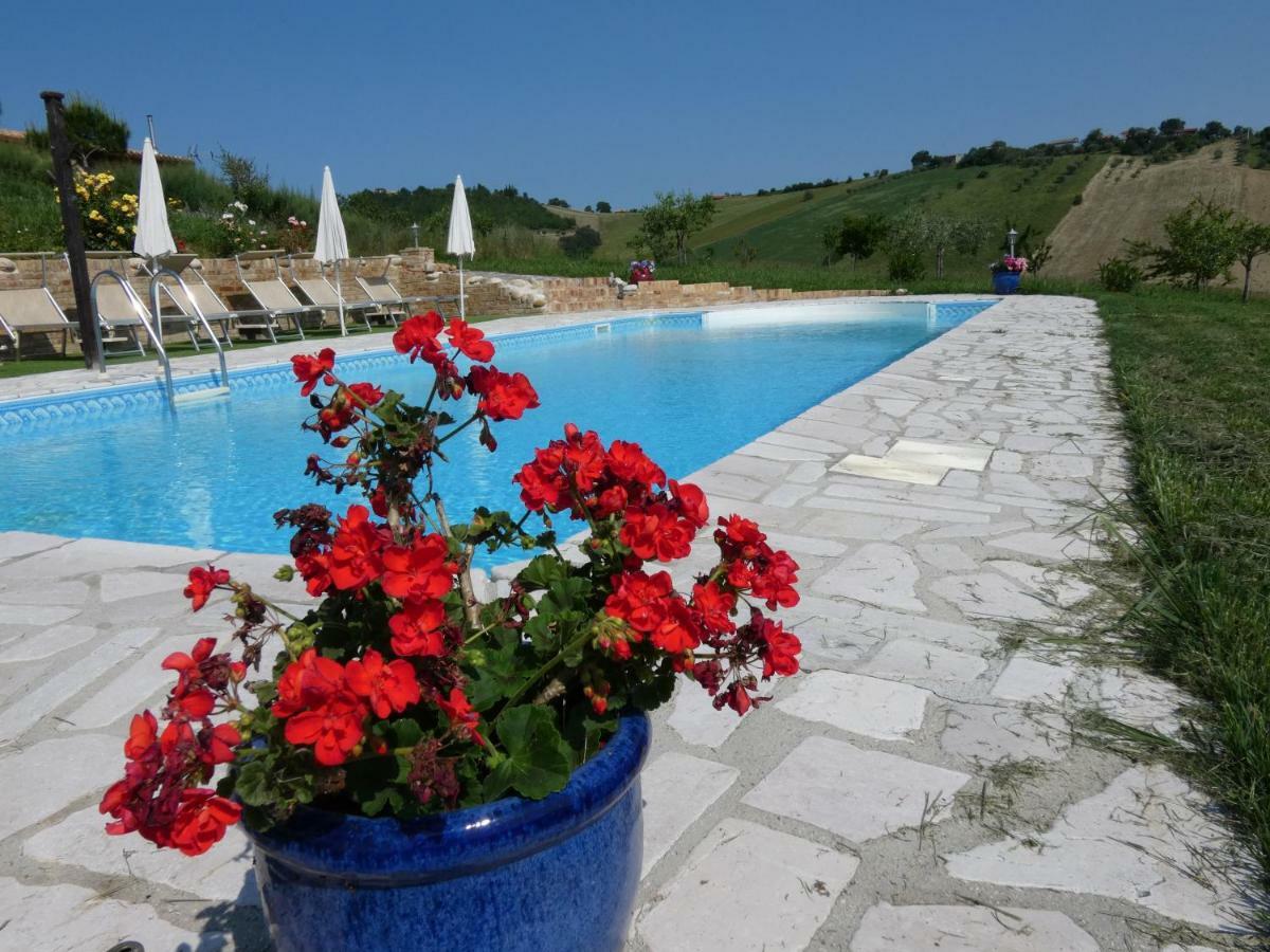 Il Frutteto Bed&Breakfast Ripattone Eksteriør bilde